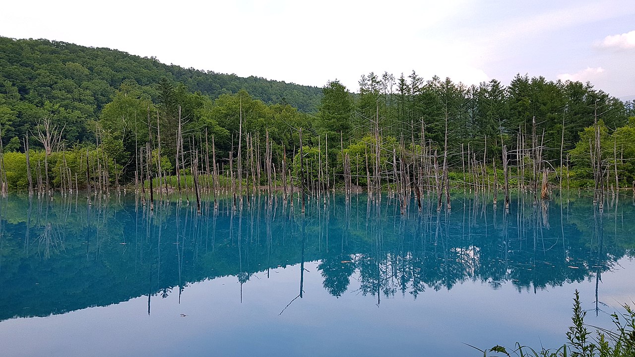 Shirogane Blue Pond